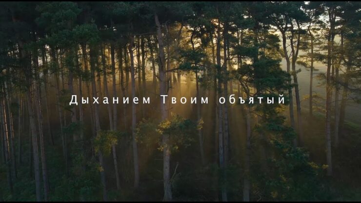 Дыханием Твоим объятый (SokolovBrothers) в Христианской фонотеке