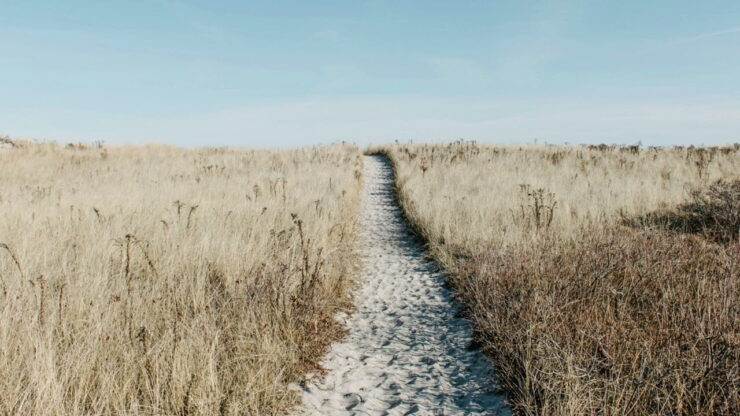 Куда идти (Любовь Васенина) в Христианской фонотеке