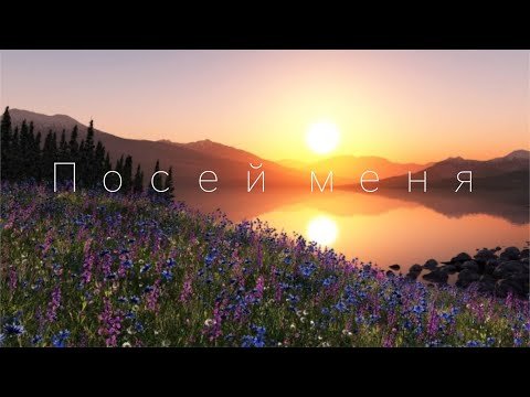 Посей меня / SokolovBrothers